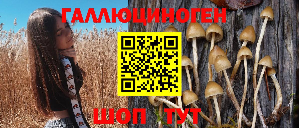 Галлюциногенные грибы Psilocybe  Вход с VPN  Красный Сулин  Псилоцибиновые грибы GOLDEN TEACHER 